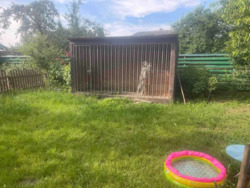 Продається будинок 2львівські дачі, Довжанка, Тернопільський, Тернопільська фото 20 Продається будинок 2львівські дачі, Довжанка, Тернопільський, Тернопільська фото 20