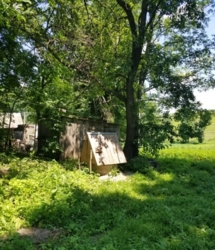 Продається будинок Тернопільська, Збаразький, Олишківці фото 12 Продається будинок Тернопільська, Збаразький, Олишківці фото 12