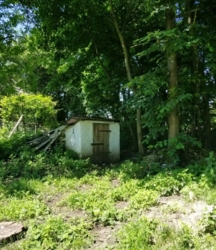 Продається будинок Тернопільська, Збаразький, Олишківці фото 13 Продається будинок Тернопільська, Збаразький, Олишківці фото 13