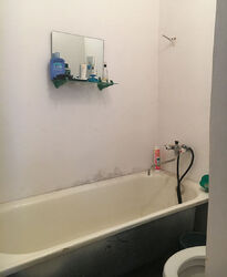 Продається будинок Тернопільська, Тернопільський, Івачів Горішній, Світанок фото 11 Продається будинок Тернопільська, Тернопільський, Івачів Горішній, Світанок фото 11