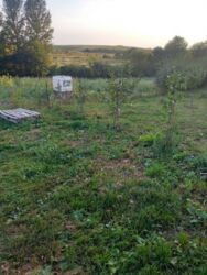 Продається будинок Стрыївка, Збаразький, Тернопільська фото 10 Продається будинок Стрыївка, Збаразький, Тернопільська фото 10