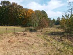 Продається будинок Тернопільська, Тернопіль, Кутківці фото 7 Продається будинок Тернопільська, Тернопіль, Кутківці фото 7