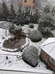 Продається будинок Тернопільська, Підволочиський, Підволочиськ фото 5 Продається будинок Тернопільська, Підволочиський, Підволочиськ фото 5