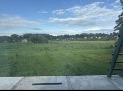 ��������� ������� ������ �������, �������������, ������������ ���� 13