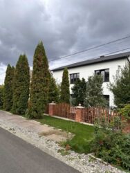 Продається будинок Тернопільська, Тернопільський, Підгороднє фото 1 Продається будинок Тернопільська, Тернопільський, Підгороднє фото 1