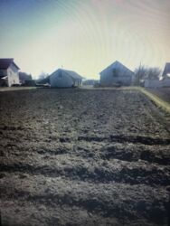 Продається будинок Тернопільська, Тернопільський, Настасів фото 6 Продається будинок Тернопільська, Тернопільський, Настасів фото 6