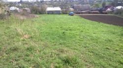 Продається будинок Тернопільська, Тернопільський, Дубівці фото 5 Продається будинок Тернопільська, Тернопільський, Дубівці фото 5