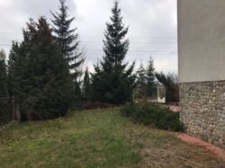 Продається будинок Тернопільська, Тернопільський, Байківці фото 7 Продається будинок Тернопільська, Тернопільський, Байківці фото 7