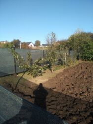 Продається будинок Тернопільська, Тернопіль, Кутківці, 1львівські дачі фото 12 Продається будинок Тернопільська, Тернопіль, Кутківці, 1львівські дачі фото 12