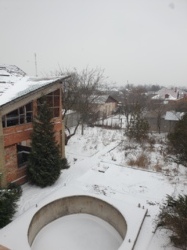 Продам дом в частном секторе на Павловом Поле! С большим участком! фото 2 Продам дом в частном секторе на Павловом Поле! С большим участком! фото 2