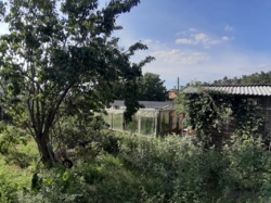 ������ ��� 100� ����������, ����� 10 �� �� �������� ���� 17