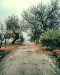 Продам дом на Немышле фото 4 Продам дом на Немышле фото 4