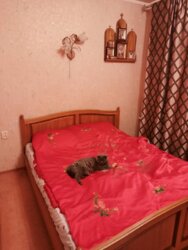 ������ ��������� ����� ����, � ������ ����� ���� ���� 2