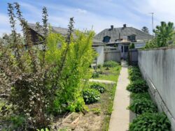 ������ ����� ���� �� �������� ���� ���� 1