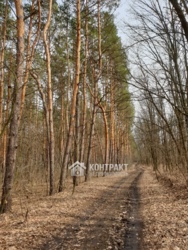 Продам дом для большой семьи на берегу Вяловского водохранилища! В окружении прекрасной природы и хороших соседей! фото 8 Продам дом для большой семьи на берегу Вяловского водохранилища! В окружении прекрасной природы и хороших соседей! фото 8