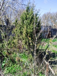 �2������ ������� . ��� ������ ���� 22