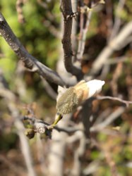 Продам коттедж, современной постройки, поселок Циркуны фото 17 Продам коттедж, современной постройки, поселок Циркуны фото 17