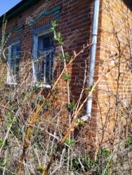 �2������ ������� . ��� ������ ���� 24