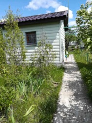 ��������� ��� ���������� �������, 19, �����������, �����������, ����������� ���� 1