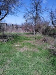 �2������ ������� . ��� ������ ���� 41