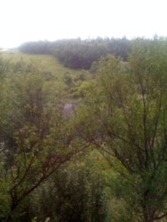 ���� � ������� �������� ���� 4