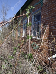 �2������ ������� . ��� ������ ���� 36