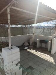 ������ ��� 2 ��.� ������ ���������� ������������� 12 ����� ������������ ���� 2