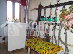 ��� ����� �����, ������� ����������, �����, �����, ������������� ������� (��� ���������� �������) ���� 16