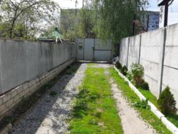 ������ ����� ���� �� �������� ���� ���� 3