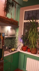 Таунхаус на Холодной горе по цене квартиры! фото 2 Таунхаус на Холодной горе по цене квартиры! фото 2