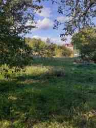 ������ ����� ���� �����. ���� 4