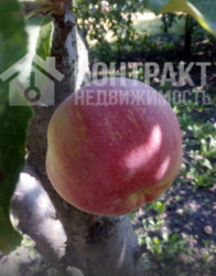 Продам дом Козачья Лопань фото 8 Продам дом Козачья Лопань фото 8