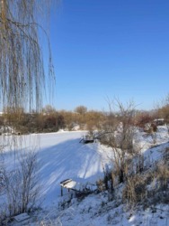 ��������� ��� ���������� �������, 19, �����������, �����������, ����������� ���� 8