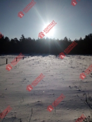 Продам дом в лесу село Тимченки фото 3 Продам дом в лесу село Тимченки фото 3