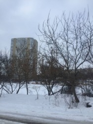 ������ 1/2 ����� ���� (����� ����� 23 �������) ���� 12