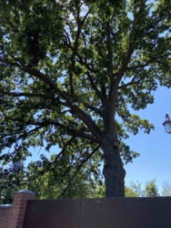 Продается дом Украинская, 27, Пивденное, Харьковский, Харьковская фото 3 Продается дом Украинская, 27, Пивденное, Харьковский, Харьковская фото 3