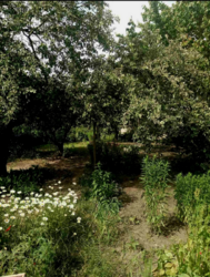 продам часть дома Барабашова фото 3 продам часть дома Барабашова фото 3