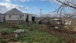 ������ ��� 100� ����������, ����� 10 �� �� �������� ���� 1