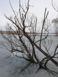 Продам дом для большой семьи на берегу Вяловского водохранилища! В окружении прекрасной природы и хороших соседей! фото 9 Продам дом для большой семьи на берегу Вяловского водохранилища! В окружении прекрасной природы и хороших соседей! фото 9