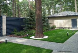 ������ ����������� ��� � �� ������ (��������) ��������� ���������� ���� 5