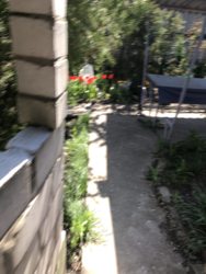 А2продам добротный дом возле леса село Левковка, фото 2 А2продам добротный дом возле леса село Левковка, фото 2