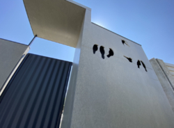 ������ ���, �������, �������� ���� 11