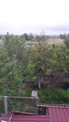 ��������� ��� ������� �����, �����������, ����������� ���� 7