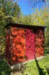 ��������� ��� ����� ������ ��., �������, �����������, ����� ������� ���� 5