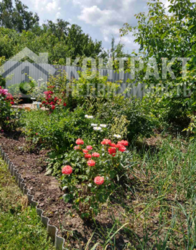 Продам дом Козачья Лопань фото 10 Продам дом Козачья Лопань фото 10