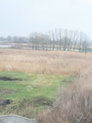 ������ ��� � ���������� ������ ���� 14