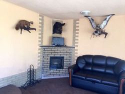 ������ ����� ��� � ��������! ����� ��.���������� ���� 5