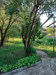 ������ ����� ���� �����. ���� 5