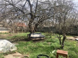 Продам дом на Шишковке. фото 11 Продам дом на Шишковке. фото 11