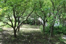 Продам Дом в Центре Харькова район Шатиловка 11соток фото 2 Продам Дом в Центре Харькова район Шатиловка 11соток фото 2